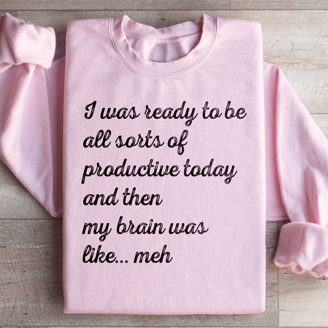 I Was Ready To Be All Sorts Of Productive Today Sweatshirt