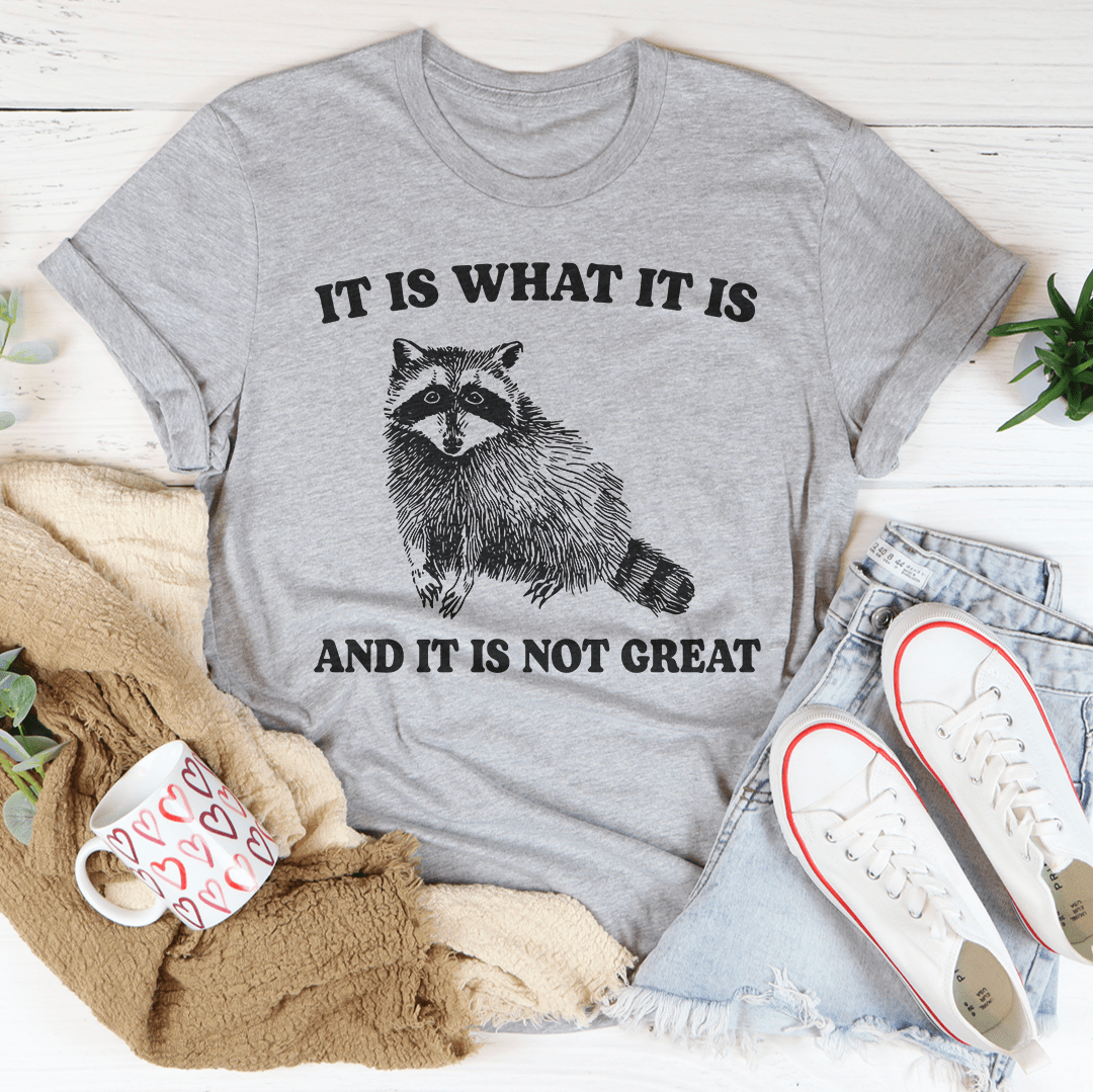It Is What It Is And It Is Not Great Tee