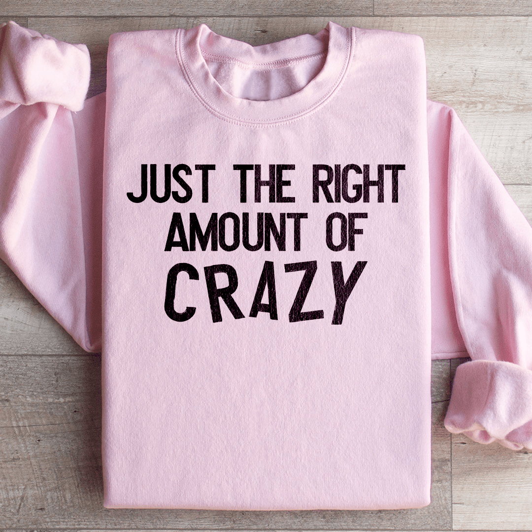 Just The Right Amount Of Crazy Sweatshirt