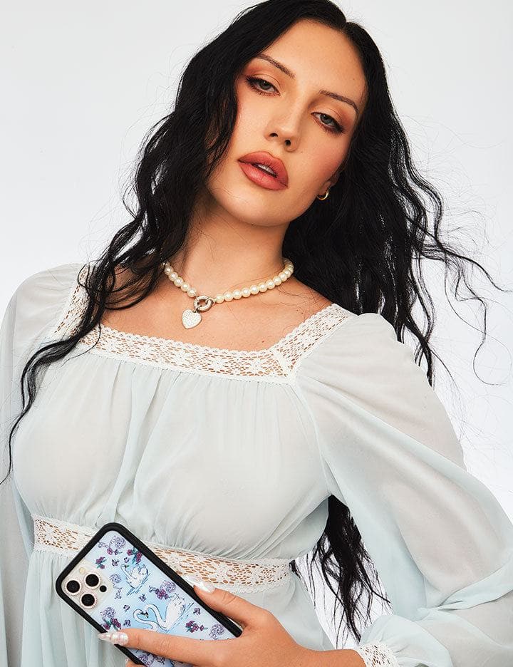 Swan Lake iPhone Case