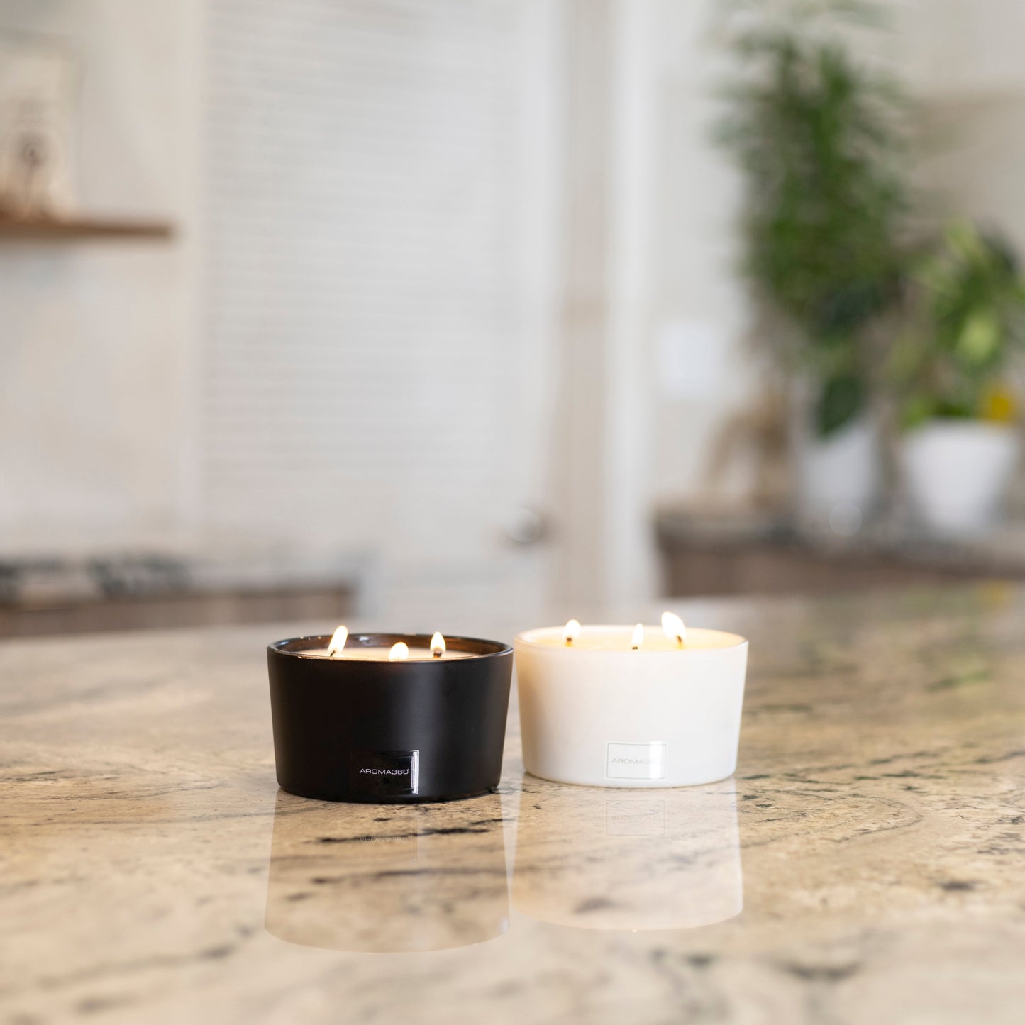 Déjà Vu 3-Wick Candle