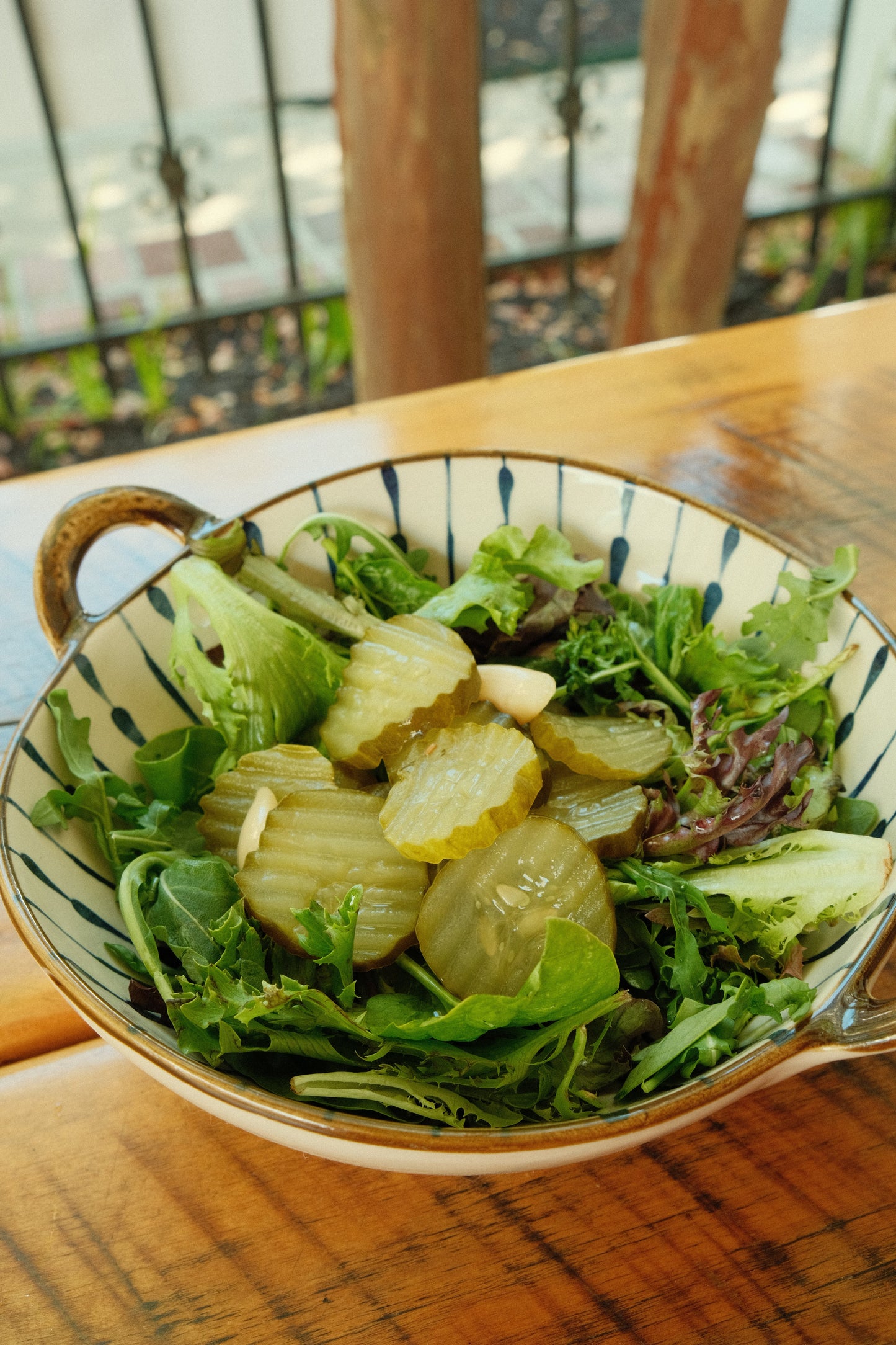 The Lady May Crinkle Dill Pickle Chips - Small Batch Southern Pickles