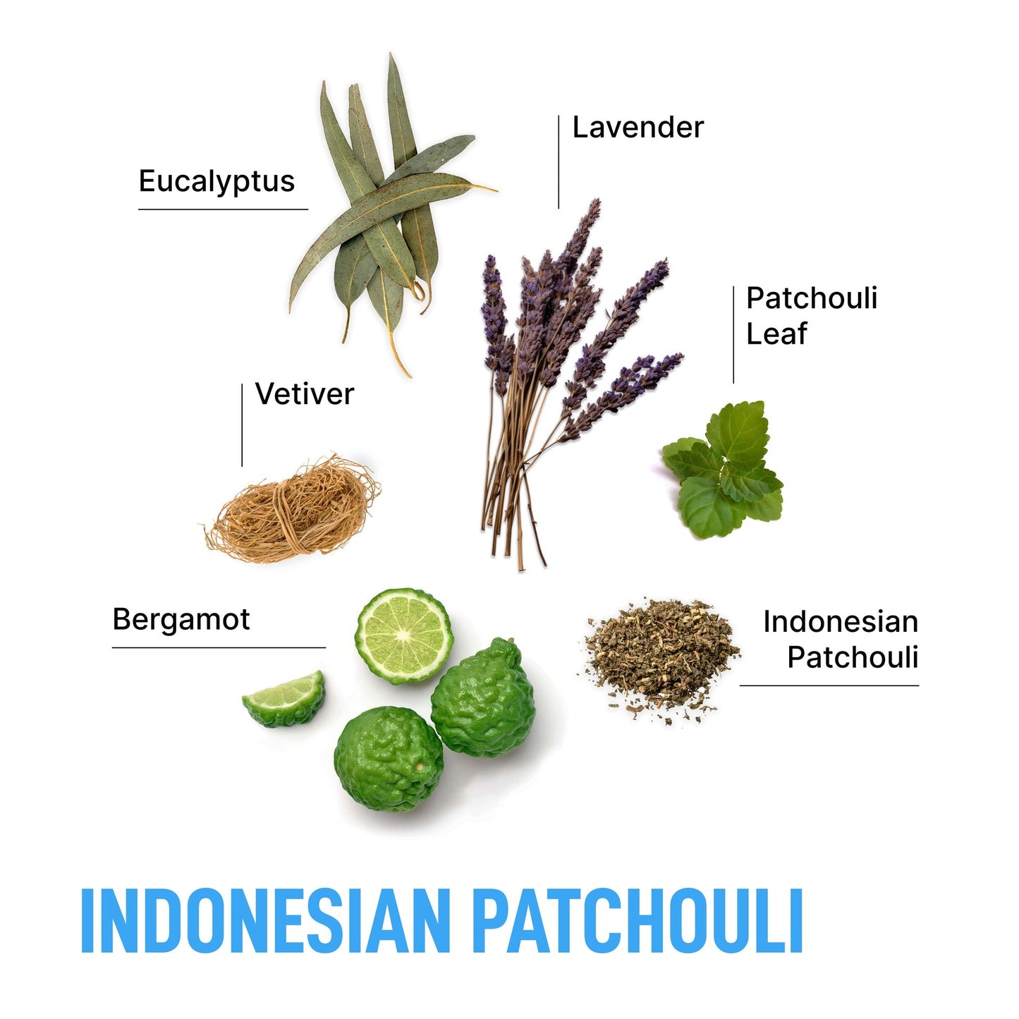 The Signature Package