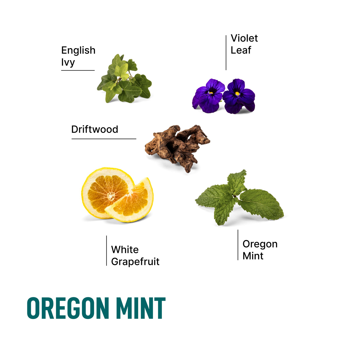 Laundry Detergent Pods