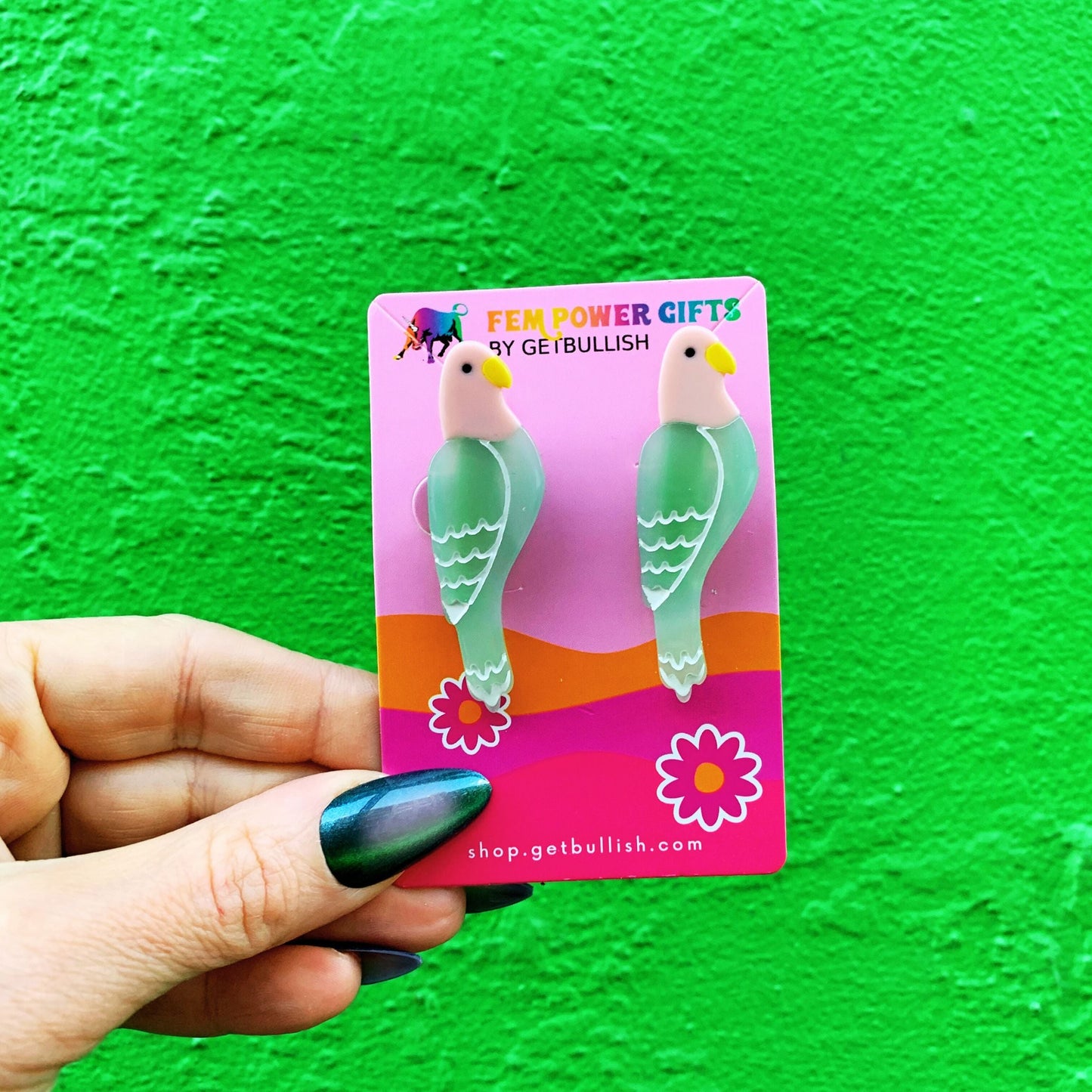 Set of 2 Birdie Barrettes Acetate Hair Clips | Cute Parrot Hair Pins