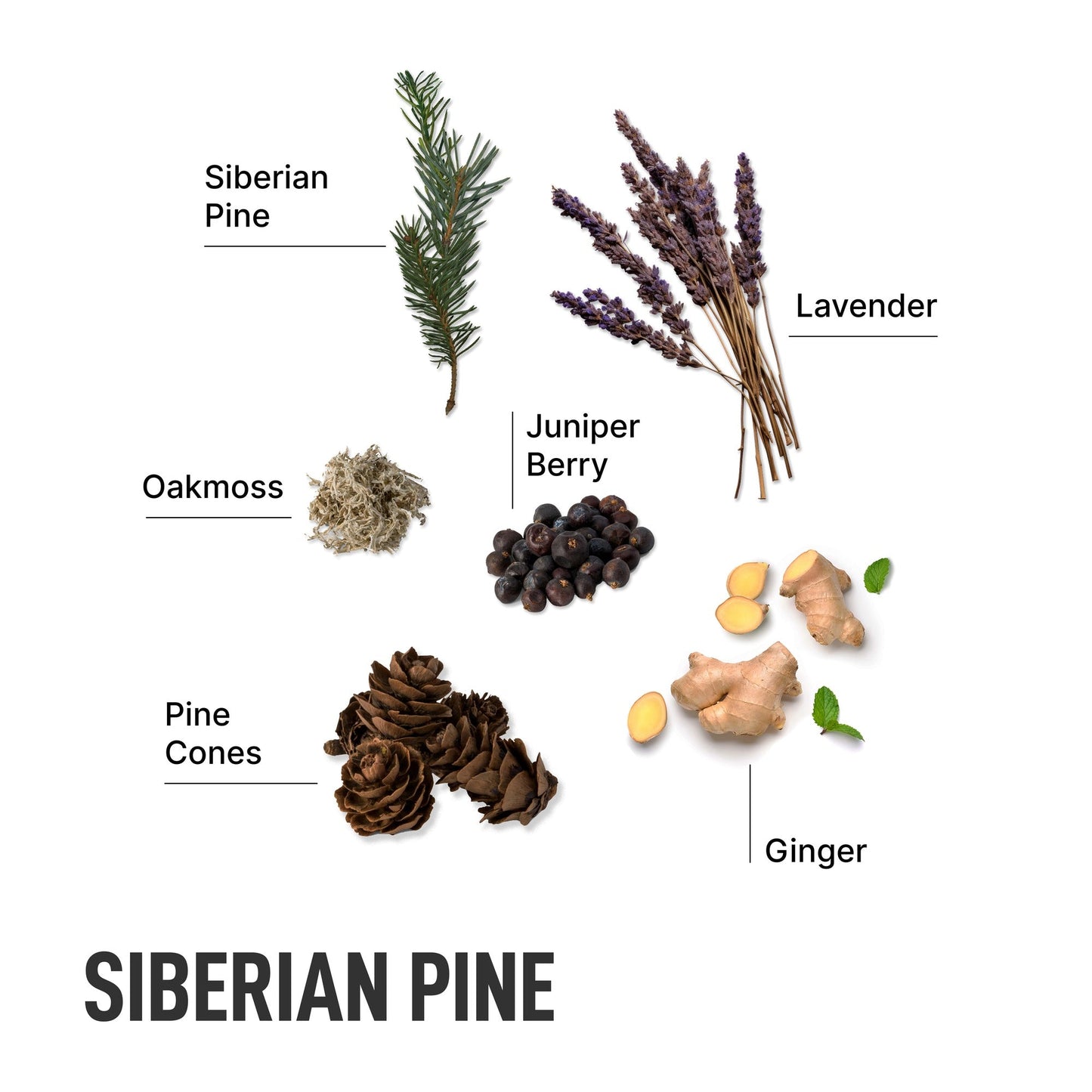 The Signature Package