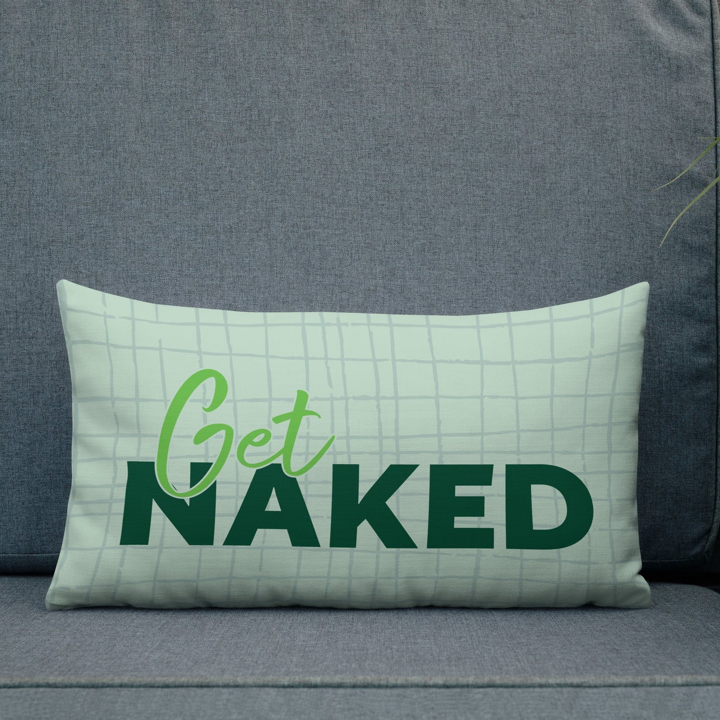 Clothes are Overrrated - Get Naked Premium Pillow