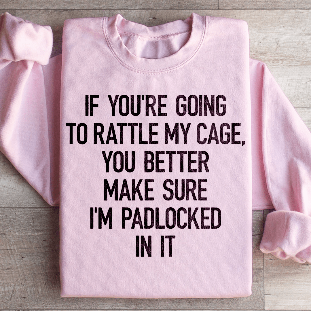If You're Going To Rattle My Case You Better Make Sure I'm Padlocked In It Sweatshirt