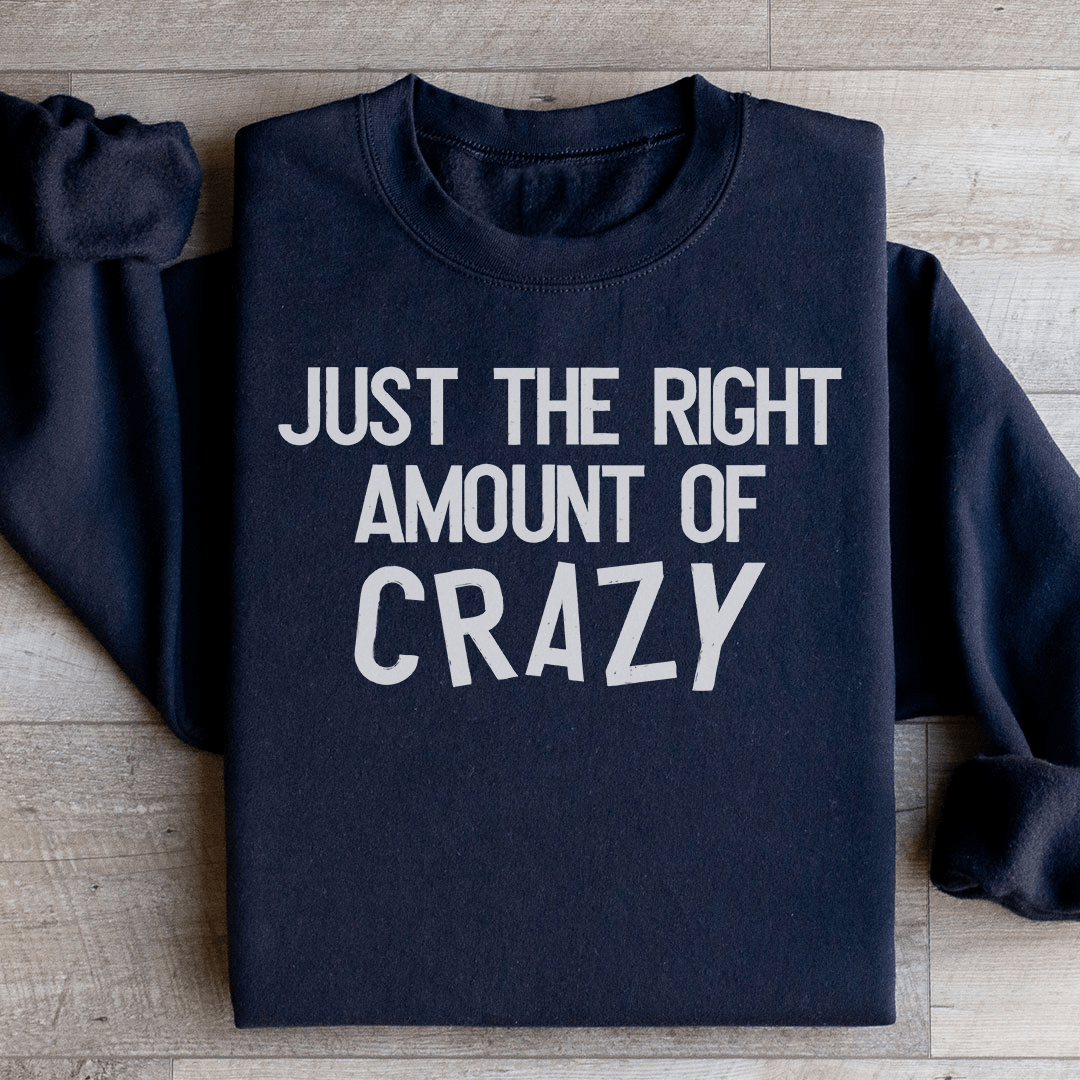 Just The Right Amount Of Crazy Sweatshirt
