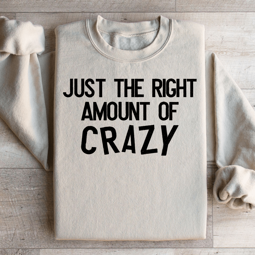 Just The Right Amount Of Crazy Sweatshirt