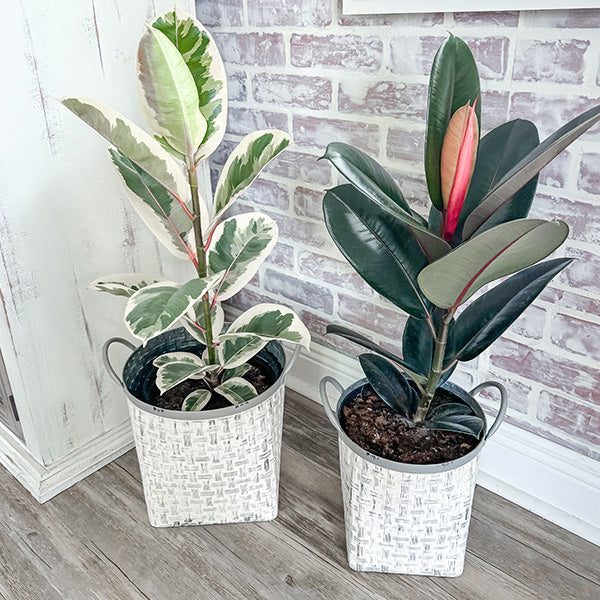 Whitewashed Woven Metal Baskets, Set of 2