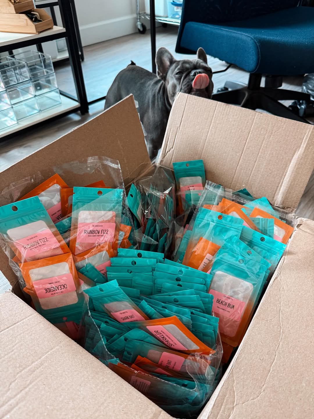 Loaded Tea Pouches – In Stock Flavors | Collagen + Energy + Vitamins