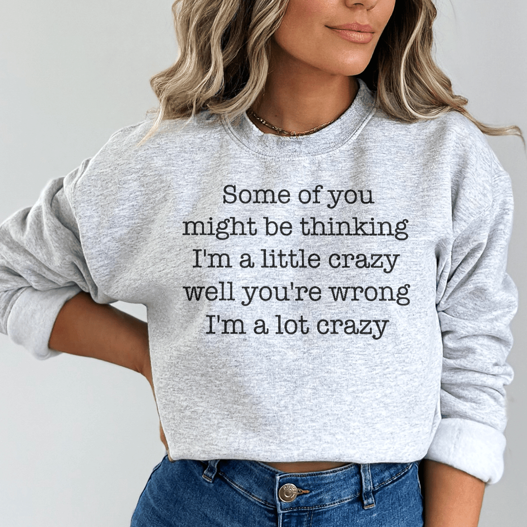 Some Of You Might Be Thinking I'm A Little Crazy Well You're Wrong I'm A Lot Crazy Sweatshirt