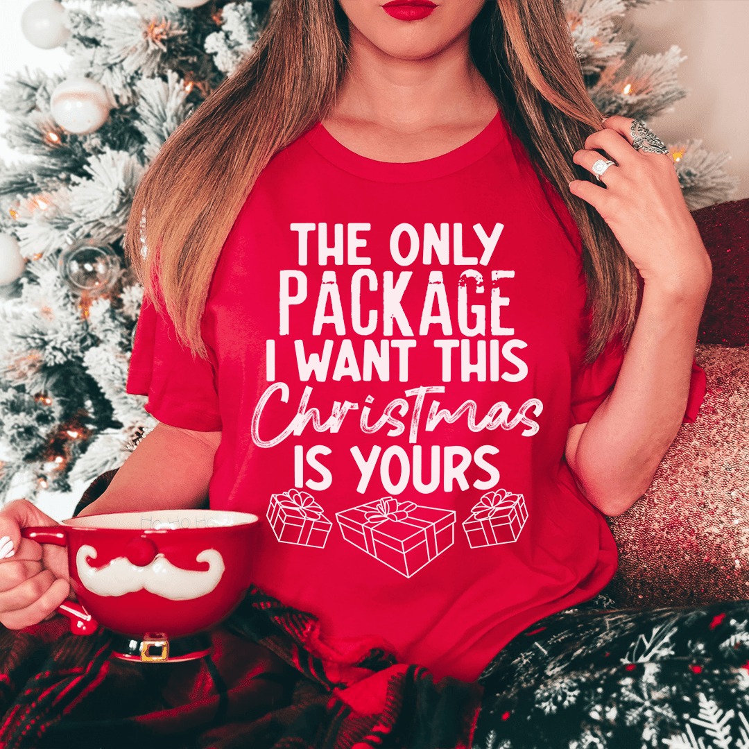 The Only Package I Want This Christmas Tee