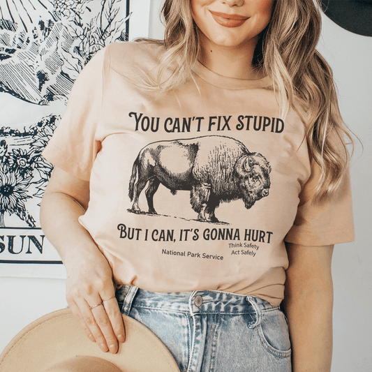 You Can't Fix Stupid But I Can Tee